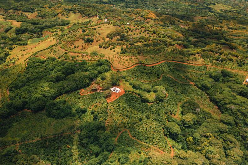Miro Forestry – FSC-zertifizierte Plantagen